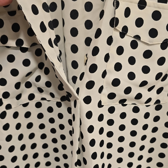 Ann Taylor Black and White Polka Dot V-Neck Blouse - Picture 6 of 7